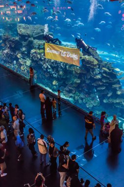 dubai Mall dünyanın en büyük Akvaryumu