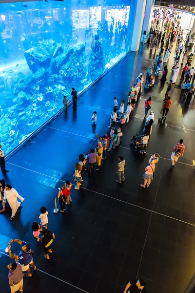 Größtes Aquarium der Welt in Dubai Mall — Stockfoto