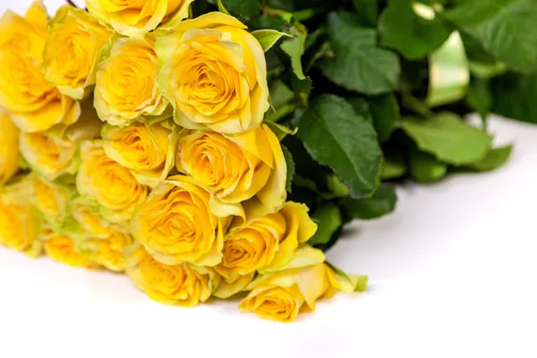 Skupina čerstvé žluté růže — Stock fotografie