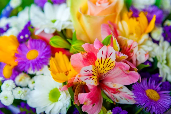 Spring flowers background on white background — Stock Photo, Image