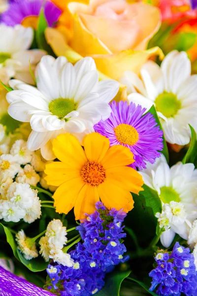 Frühling Blumen Hintergrund auf weißem Hintergrund — Stockfoto