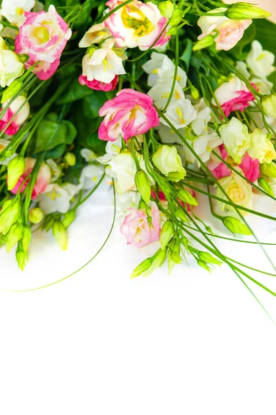 Spring flowers background on white background — Stock Photo, Image