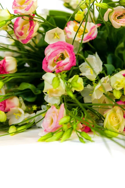 Våren blommor bakgrund på vit bakgrund — Stockfoto