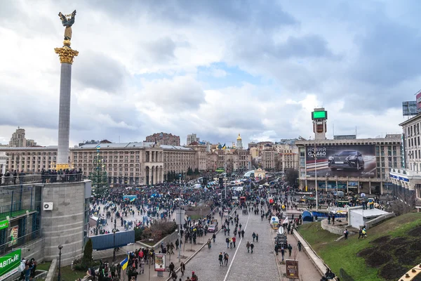 ヤヌコーヴィチ大統領に対してキエフの euromaydan の抗議します。 — ストック写真