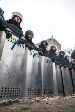 Kiev euromaydan Cumhurbaşkanı Yanukoviç karşı protesto