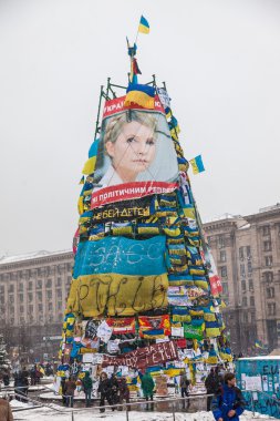 Kiev euromaydan Cumhurbaşkanı Yanukoviç karşı protesto