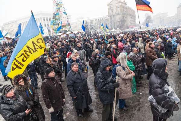 Kiev euromaydan Cumhurbaşkanı Yanukoviç karşı protesto — Stok fotoğraf