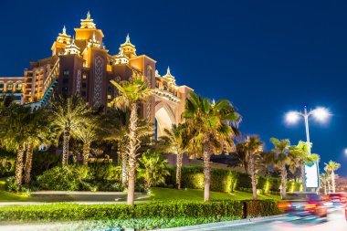 Dubai'de palmiye hotel