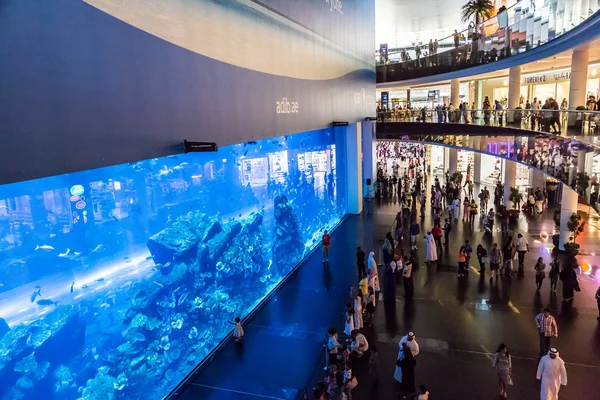 Largest aquarium of the world — Stock Photo, Image