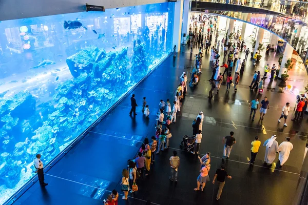 Крупнейший аквариум в мире — стоковое фото