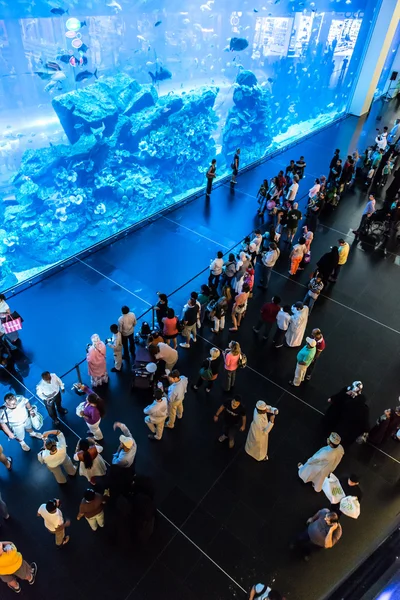 Grootste aquarium van de wereld — Stockfoto