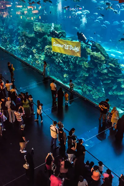 Größtes Aquarium der Welt — Stockfoto
