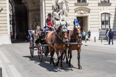 Bugün Viyana'da turistler seyahat geleneksel Koç (fiaker)