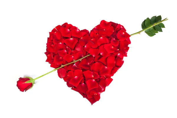 Heart shape made out of rose petals — Stock Photo, Image