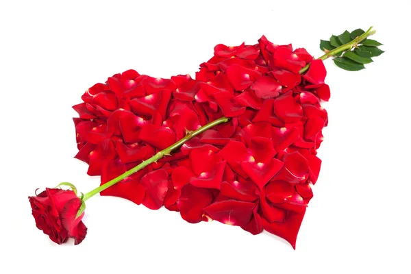 Форма серця з пелюсток троянд — стокове фото