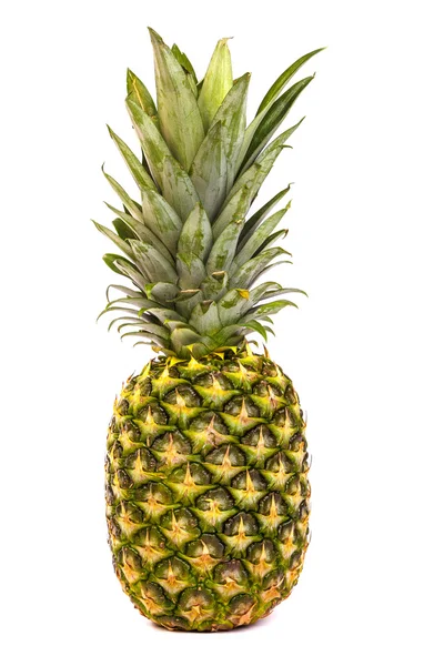Single pineapple — Stock Photo, Image