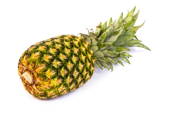 Egyetlen ananász — Stock Fotó
