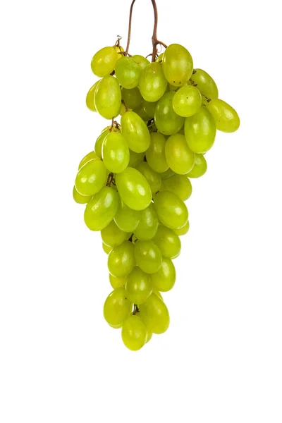 Uvas verdes — Fotografia de Stock