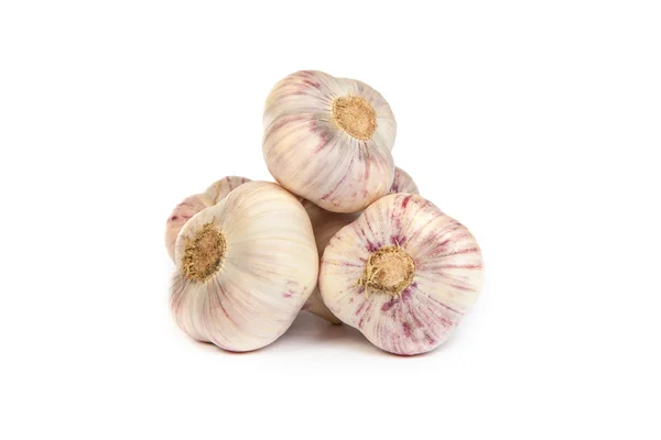 Groep van garlics — Stockfoto