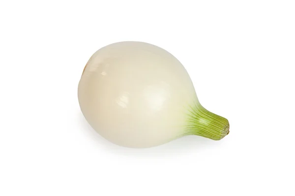 One onion — Stock Photo, Image