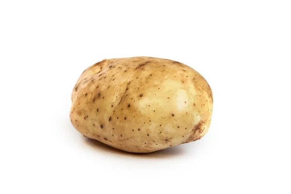 Одна картошка — стоковое фото