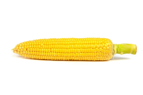 Fresh uncooked corn — Stock Photo, Image