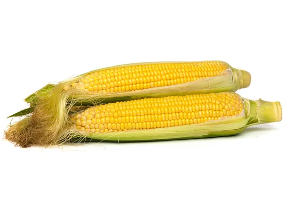 Fresh uncooked corn — Stock Photo, Image