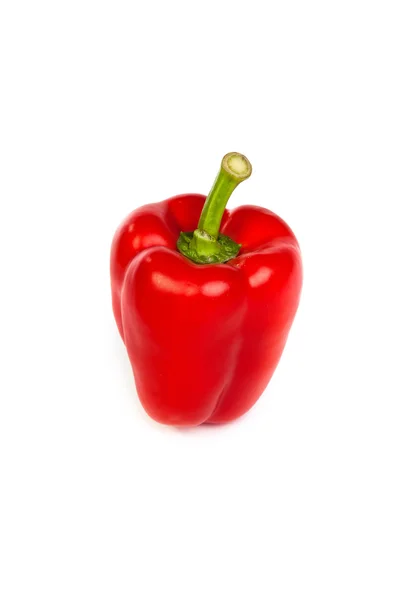 Een rode paprika sweet — Stockfoto