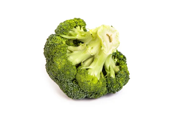 Pojedynczy brokuły floret — Zdjęcie stockowe