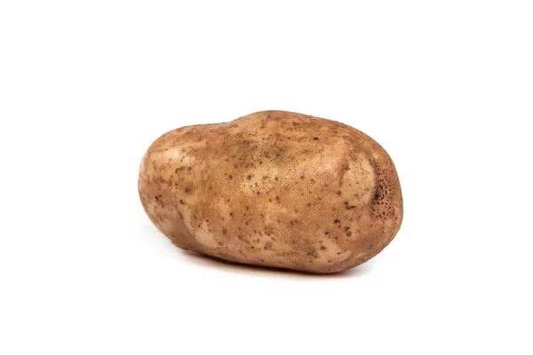 Один картоплі на білому — 스톡 사진