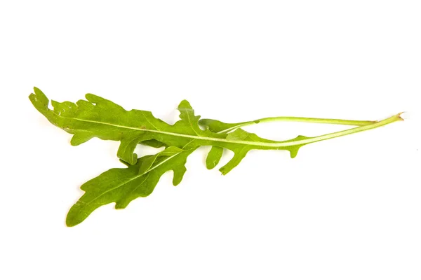 Rucola 신선한 힙 잎 — 스톡 사진