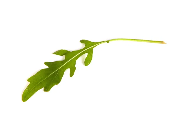 Rucola färska heap blad — Stockfoto