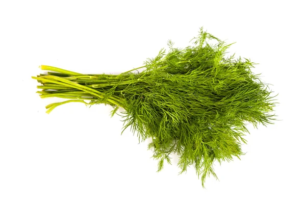 Green dill on white background — Stock Photo, Image
