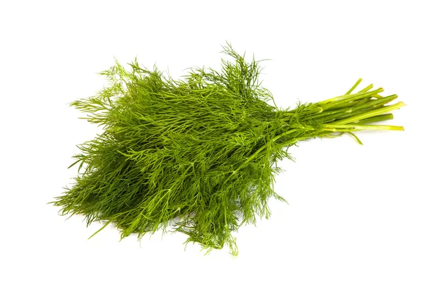 Green dill on white background — Stock Photo, Image