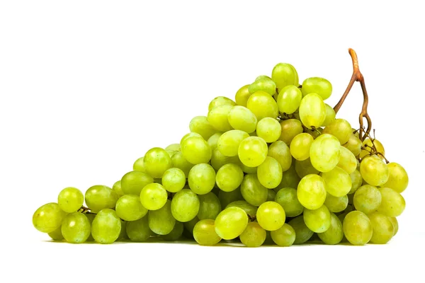 Grape — Stock Photo, Image