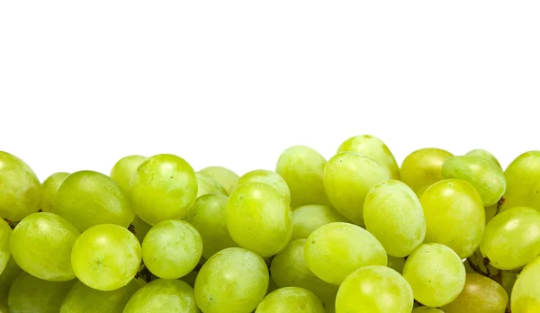 Grape — Stock Photo, Image