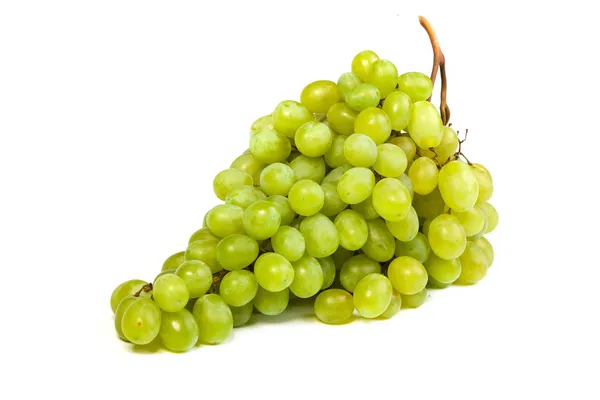 Grape — Stock Photo, Image