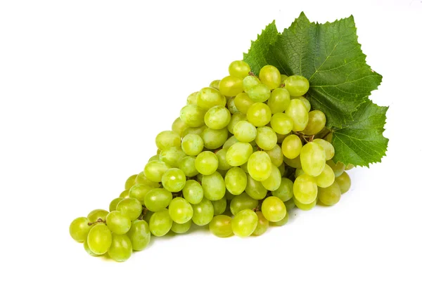 Grape — Stock Photo, Image