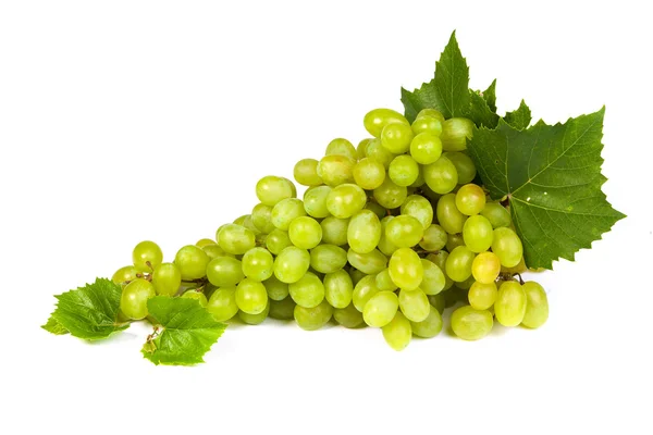 Grape — Stock Photo, Image