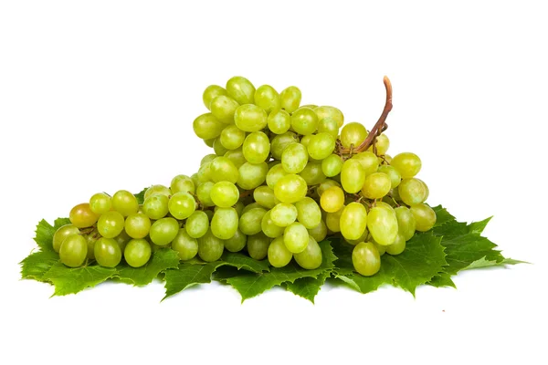 Grape — Stock Photo, Image