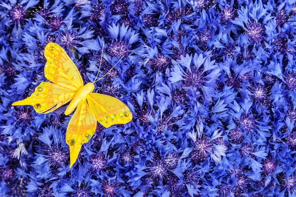 Голубой васильковый цветок с бабочкой — стоковое фото