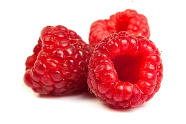 新鲜红树莓 — 图库照片