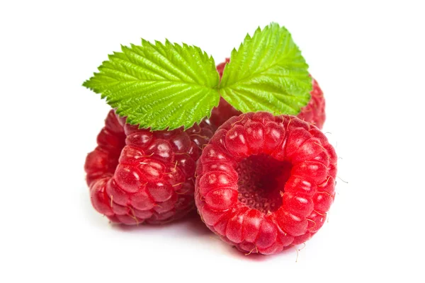 Red raspberry with green leaf — Stock Photo, Image