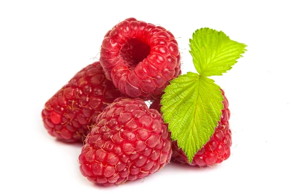 Red raspberry with green leaf — Stock Photo, Image