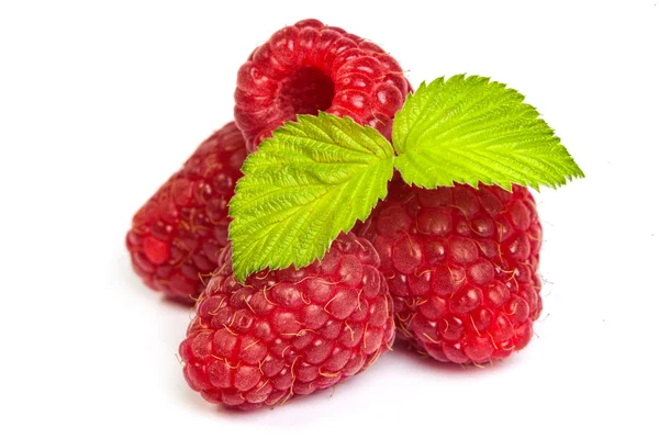 Red raspberry with green leaf — Stock Photo, Image