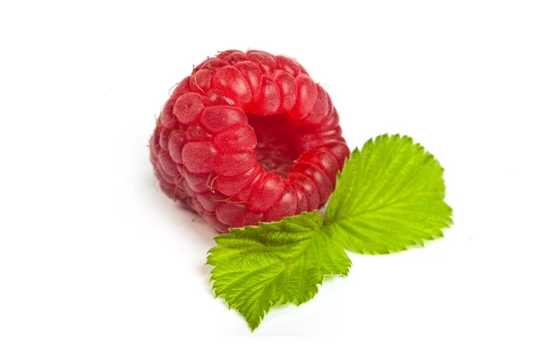 Single red raspberry — Stock Photo, Image