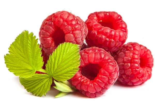 Red raspberry with green leaf — Stock Photo, Image