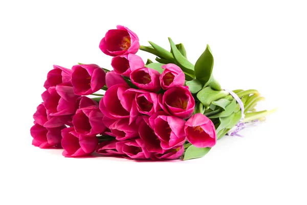 Bunch rosa de tulipas — Fotografia de Stock