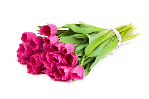 Kilka różowy tulipany — Stock fotografie
