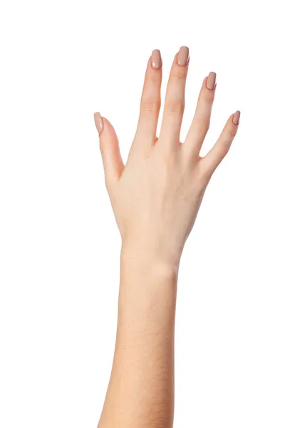 Hand gesture number five — Stock Photo, Image